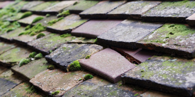 Christchurch roof repair costs